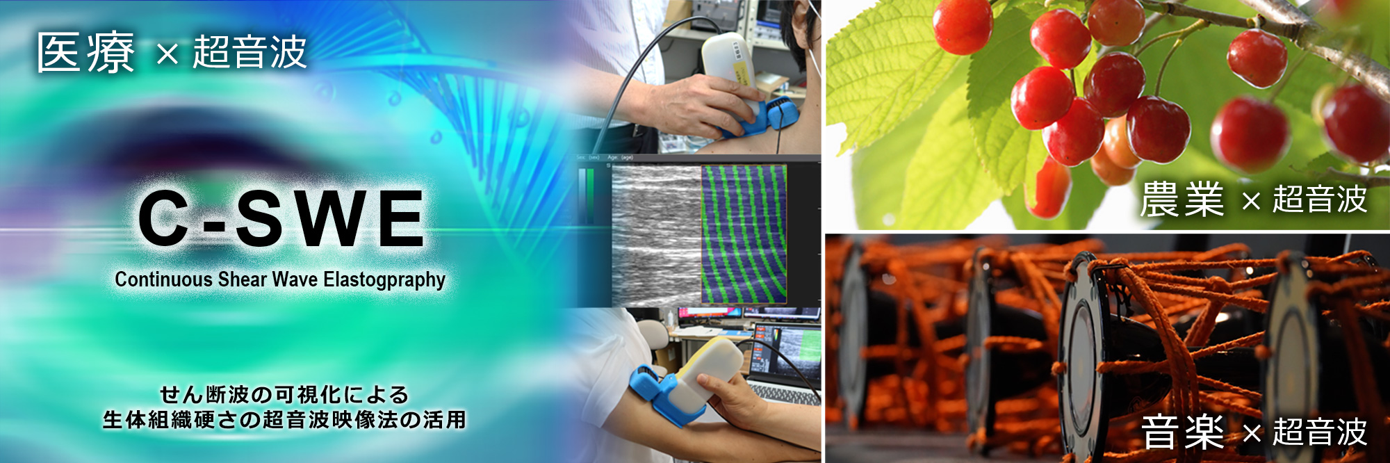 医療・農業・音楽/超音波